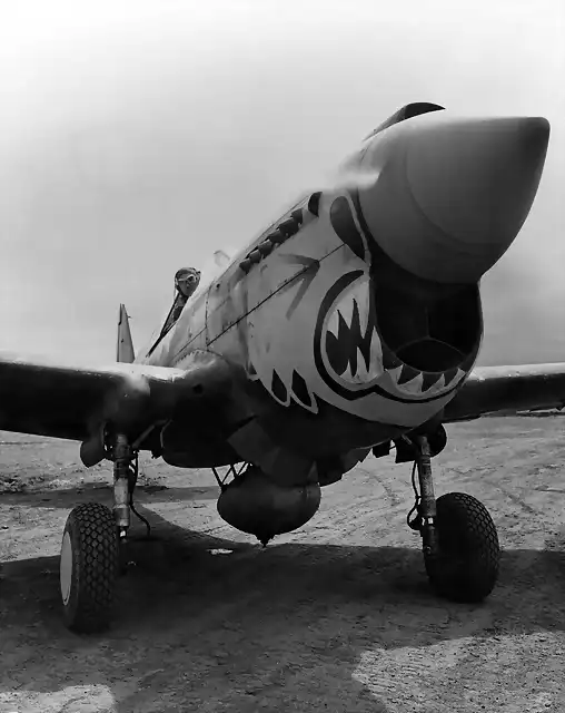 P-40_Warhawk