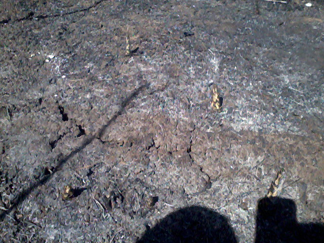 Foto0016 Foto0016