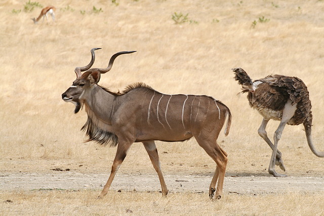 Sigean 02-08-11 062 Sigean 02-08-11 062