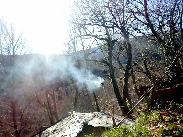 DSCN3654 DSCN3654