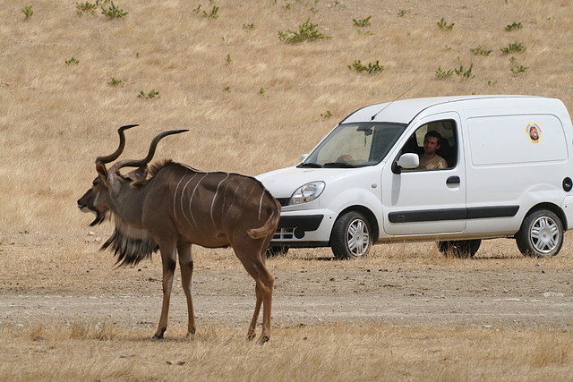 Sigean 02-08-11 060 Sigean 02-08-11 060