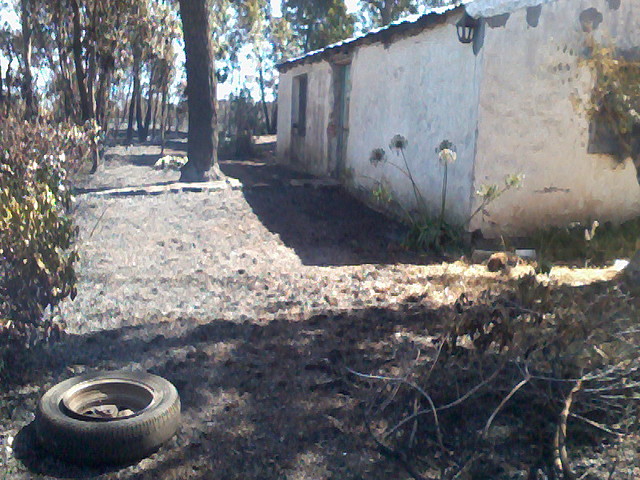 Foto0012 Foto0012