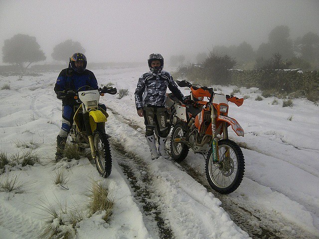 Posados_en_la_nieve