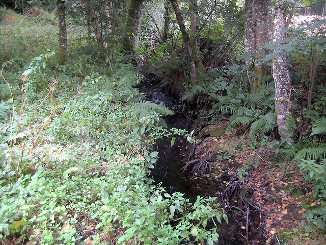 IMG_0305 IMG_0305