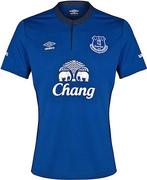 Everton 14-15 Home-Kit (1)