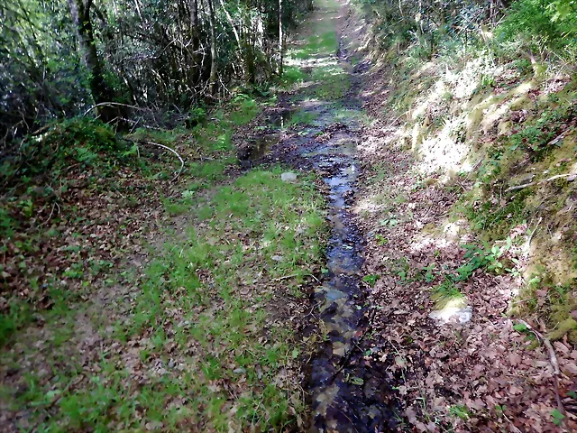 DSCN2095 DSCN2095