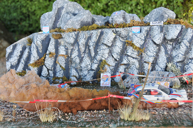 DSC_1367 DSC_1367