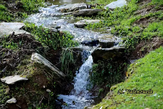 22, arroyo cristalino3, marca