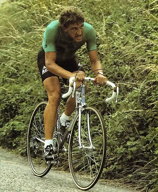 Maertens-Tour-Maillot Verde