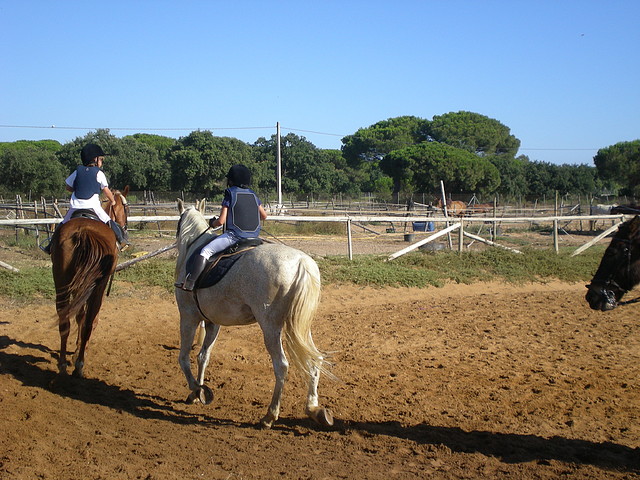 SARDINADA 027 SARDINADA 027