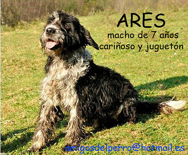 ARES Asturias