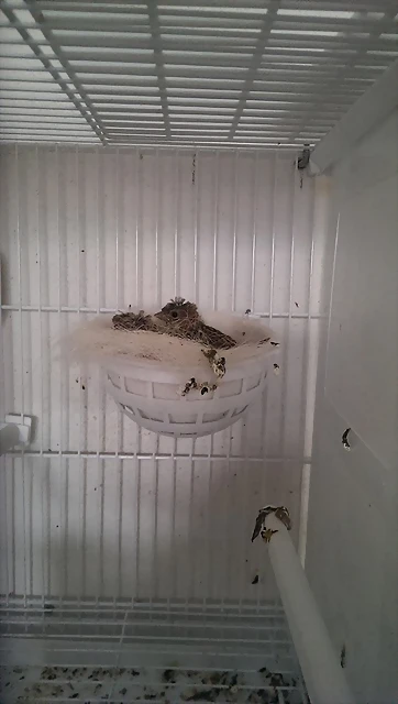 IMAG0576