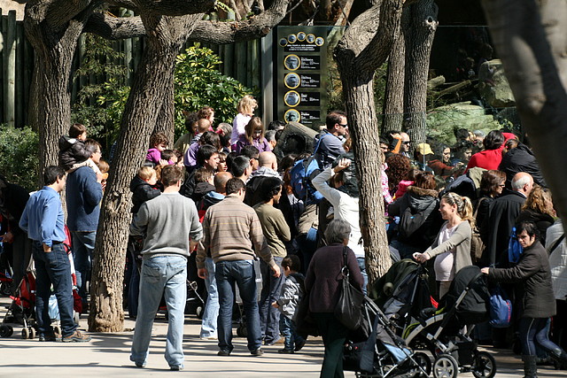 Zoo de Barcelona 13-03-11 294 Zoo de Barcelona 13-03-11 294