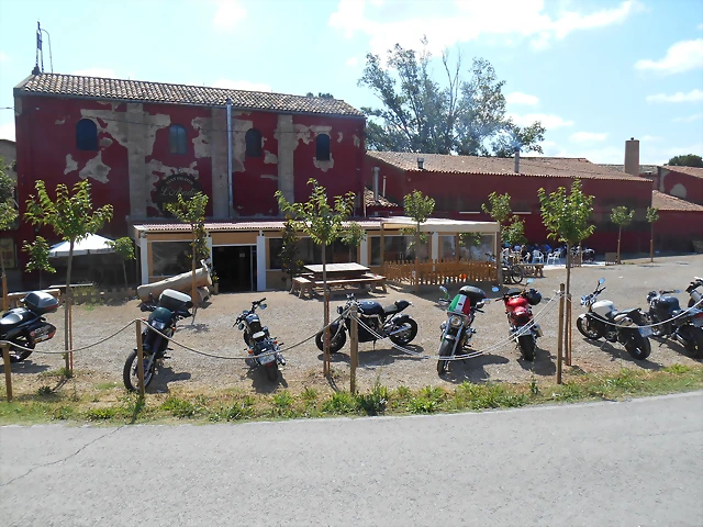 DSCN5896