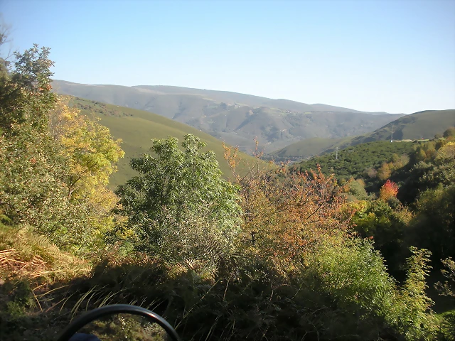 DSCN0121 DSCN0121