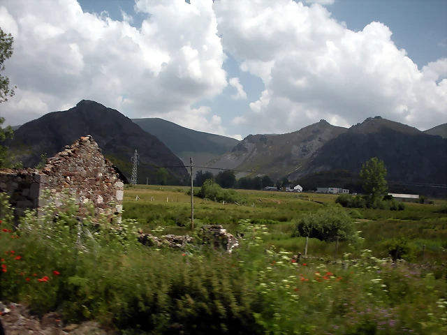 DSCN3537 DSCN3537