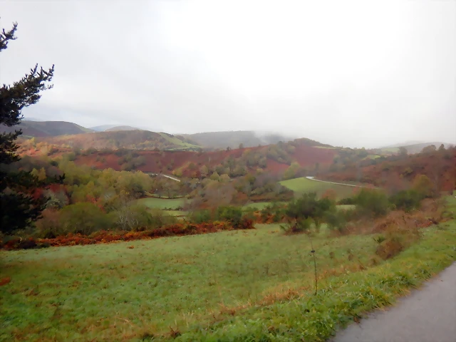 DSCN2695 DSCN2695