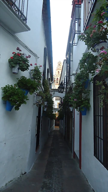 DSC02375 DSC02375