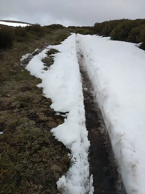 Camino circular Alto Manzaneda (2)