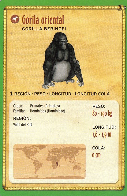 gorila oriental