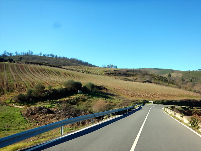 DSCN1642 DSCN1642