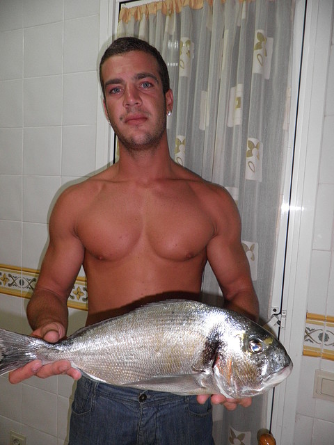 Dorada 2010 2.4kg