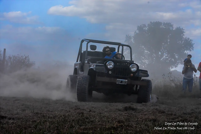 DSC_0330 DSC_0330