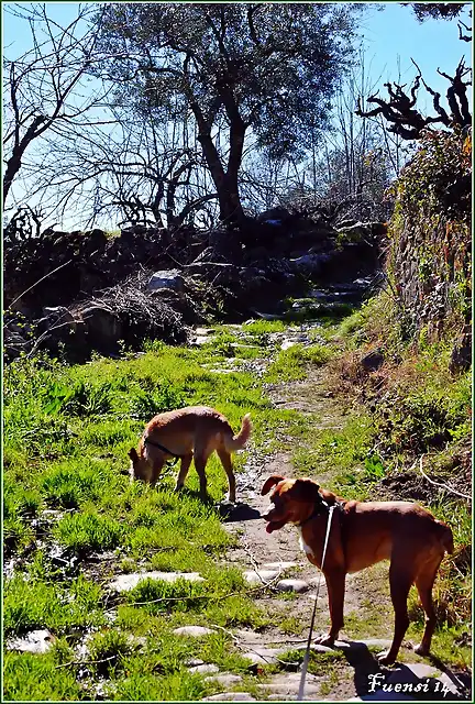 Camino del Agua. Mogarraz Monforte 8 marzo 14 (196)