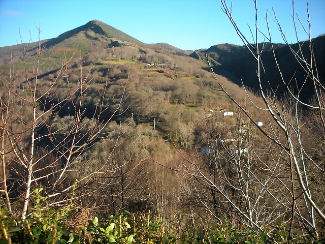 DSCN2405 DSCN2405