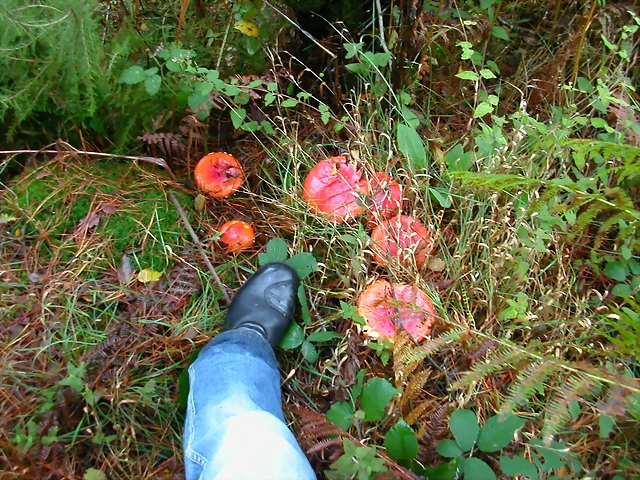 DSCN5793 DSCN5793