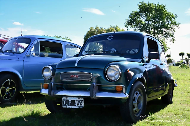 DSC_0437 DSC_0437