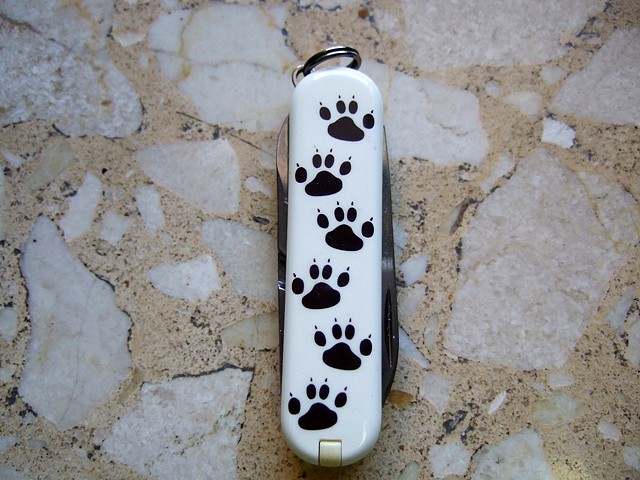 Copia de Lince Copia de Lince
