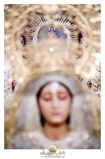 besamanos virgen misericordia coronada granada inmaculada 2019 antonio orantes 7 besamanos virgen misericordia coronada granada inmaculada 2019 antonio orantes 7