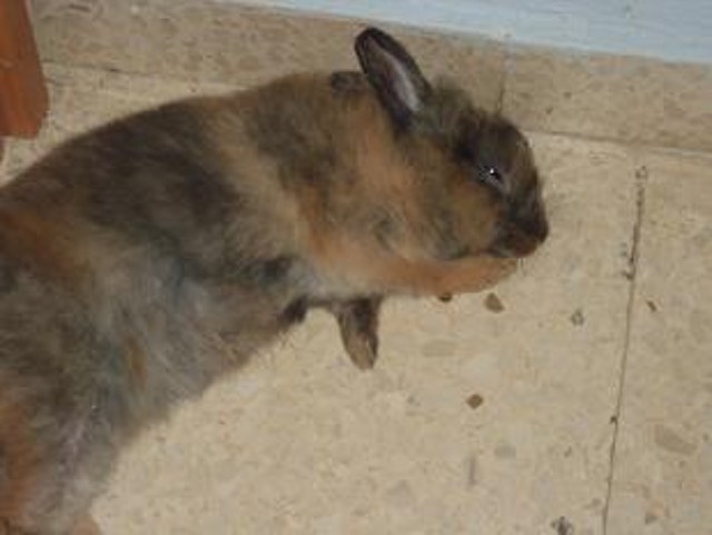 IMG_0148 IMG_0148