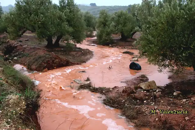 05, agua en las olivas, marca