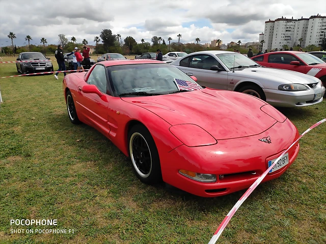 IMG_20190406_135252 IMG_20190406_135252