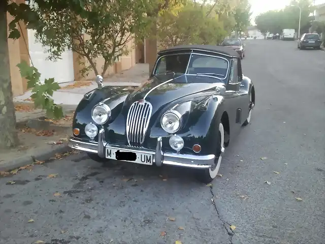 jaguar2