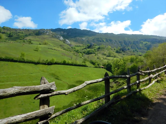 DSCN0685 DSCN0685