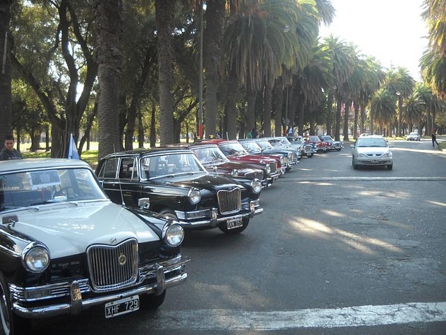 invasion Siam en rosario!!!!!!! (4) invasion Siam en rosario!!!!!!! (4)
