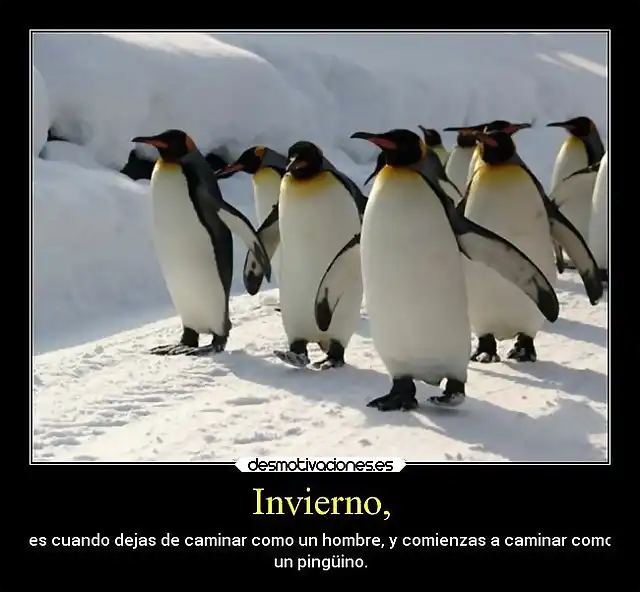 desmotivaciones-graciosas-desmotivaciones-4