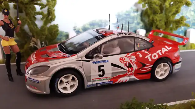 PEUGEOT 307 WRC 2006 CONDROZ THIRY