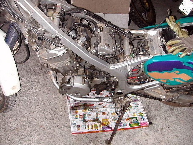 DSCN1559 DSCN1559