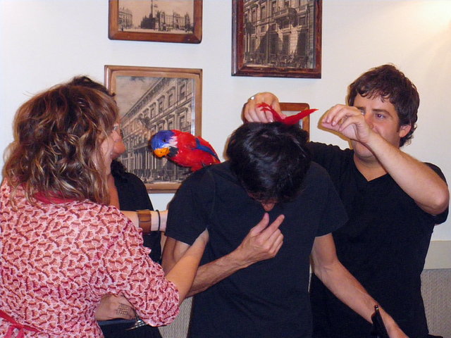 nacho pirata 2 nacho pirata 2