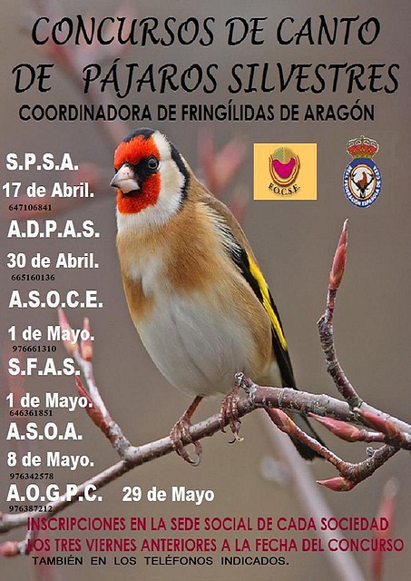 Cartel2011