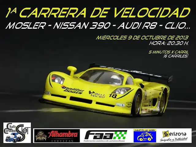 CARTEL VELOCIDAD