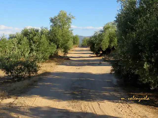 06, el oto?o de camino, marca