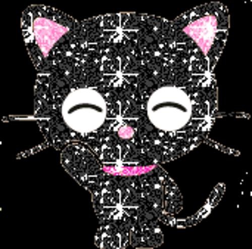 gatito simpatico gatito simpatico