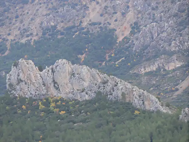 Castellets y norte del Puig OTOÑO