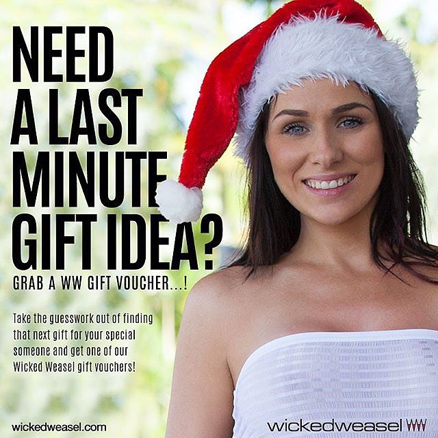 wickedweaselbikinis_2015-12-20_22-46-18 wickedweaselbikinis_2015-12-20_22-46-18