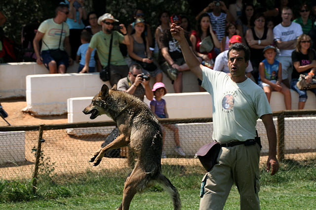 Zoo Barcelona, Faunia y Safari Madrid 1528 Zoo Barcelona, Faunia y Safari Madrid 1528